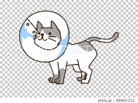 エリザベスカラーをつける猫 コミカルな手書きの人物 ベクター、線画にカラー エリザベスカラーをつける猫 コミカルな手書きの人物 ベクター、線画にカラー 88805152