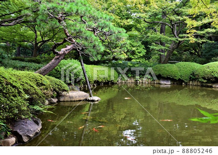 東京 白銀台 旧朝香宮邸 東京都庭園美術館 東京 白銀台 旧朝香宮邸 東京都庭園美術館 88805246