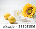夏らしく爽やかなレモン水とひまわり 88805656