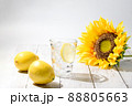夏らしく爽やかなレモン水と黄色いレモン 88805663
