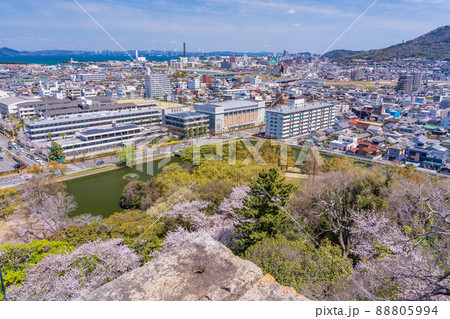 (香川県)桜咲く、丸亀城本丸から眺める丸亀の街並み (香川県)桜咲く、丸亀城本丸から眺める丸亀の街並み 88805994