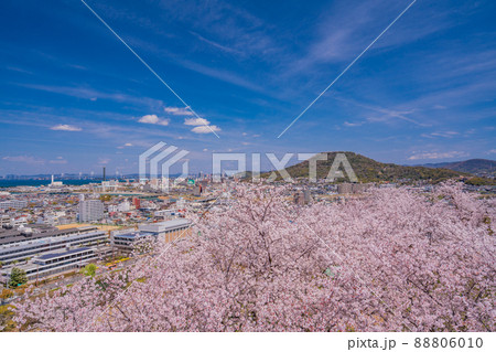 (香川県)桜咲く、丸亀城本丸から眺める丸亀の街並み (香川県)桜咲く、丸亀城本丸から眺める丸亀の街並み 88806010