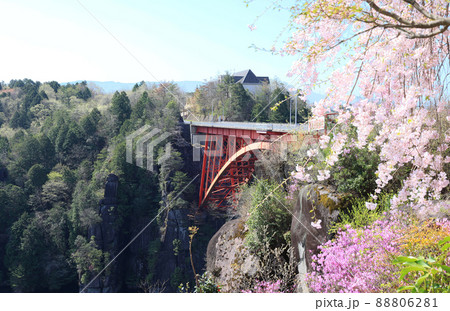恵那峡大橋と桜 恵那峡大橋と桜 88806281