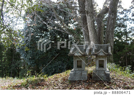 杉山城跡の本郭跡にある祠【比企城館跡群】/埼玉県比企郡 杉山城跡の本郭跡にある祠【比企城館跡群】/埼玉県比企郡 88806471