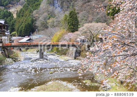桜満開の洞川温泉 温泉街 桜満開の洞川温泉 温泉街 88806539