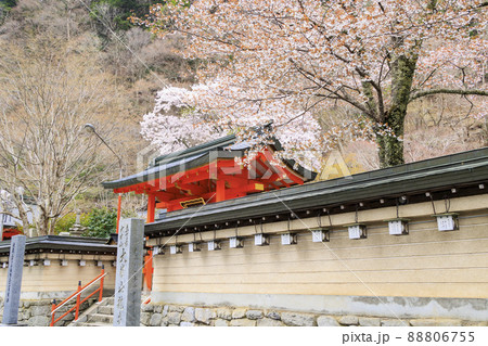桜満開に咲く大峰山龍泉寺 桜満開に咲く大峰山龍泉寺 88806755