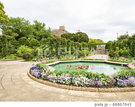 神奈川県横浜市港の見える丘公園 神奈川県横浜市港の見える丘公園 88807043