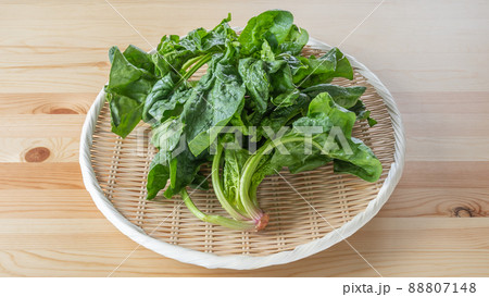 ちぢみほうれん草 ちぢみほうれん草 88807148