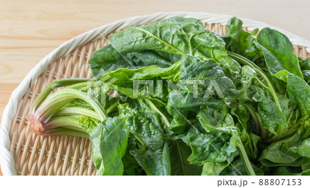 ちぢみほうれん草 88807153