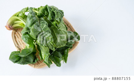 ちぢみほうれん草 ちぢみほうれん草 88807155