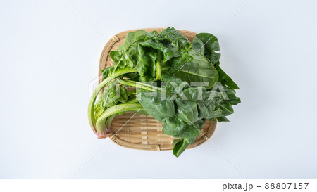 ちぢみほうれん草 88807157