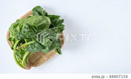 ちぢみほうれん草 ちぢみほうれん草 88807158
