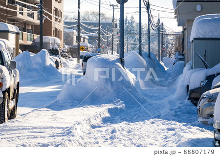 冬の市街地  北海道札幌市 88807179