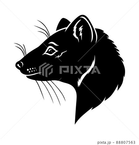 Marten head icon Marten head icon 88807563