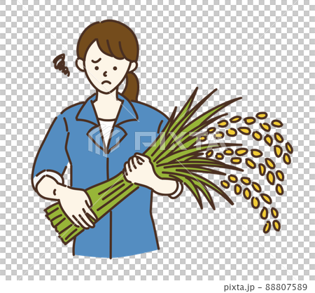 農業女子　農業　農家　米農家　女性　イラスト 88807589