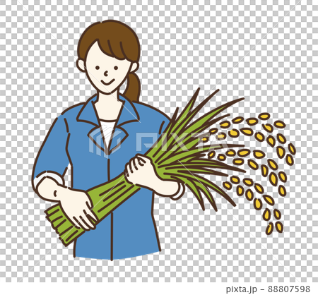 農業女孩農業農民稻農女性插圖 88807598