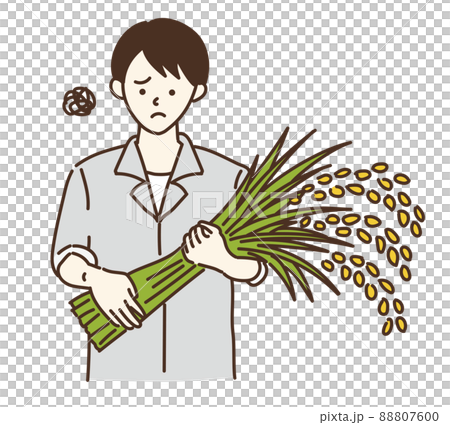 農業農民水稻農民男圖 農業農民水稻農民男圖 88807600