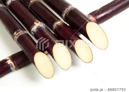 サトウキビ　甘蔗 88807793