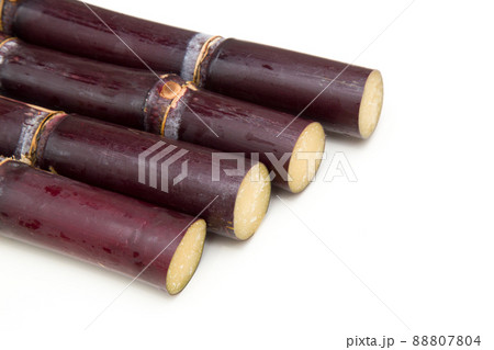 サトウキビ 甘蔗の写真素材 [88807804] - PIXTA