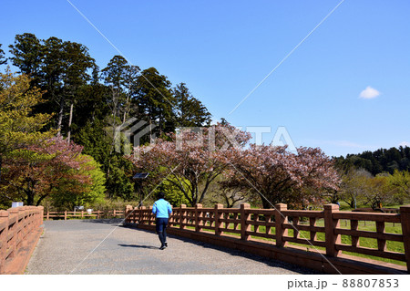 茨城県水戸市 偕楽園 公園内にある花追橋 茨城県水戸市 偕楽園 公園内にある花追橋 88807853