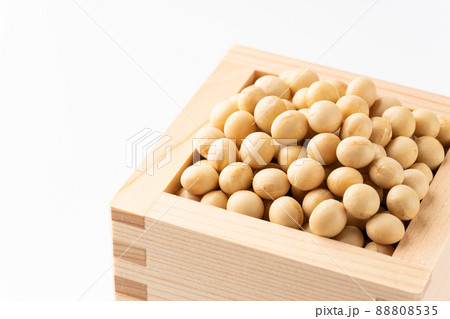 大豆 大豆 88808535