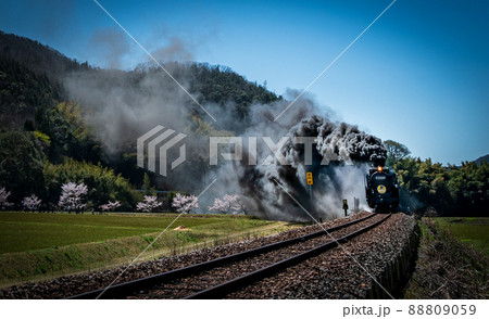 山口県の蒸気機関車が走る春の風景の写真素材 [88809059] - PIXTA