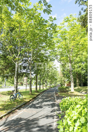 蒜山高原の初夏・新緑のサイクリングのイメージ 88809155