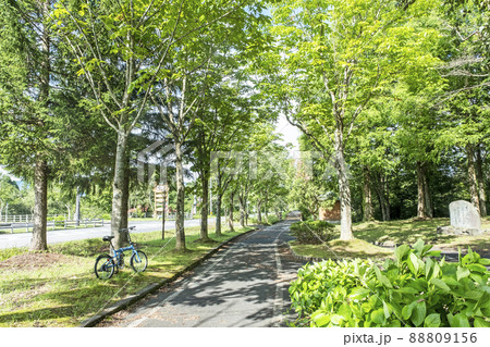蒜山高原の初夏・新緑のサイクリングのイメージ 88809156