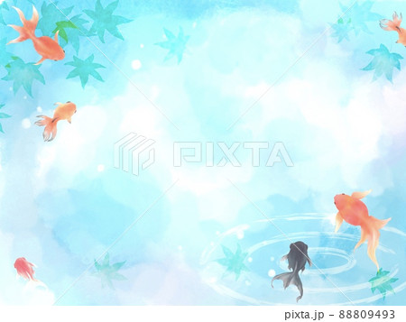 金魚と夏紅葉の涼しげな水彩背景素材のイラスト素材 [88809493] - PIXTA