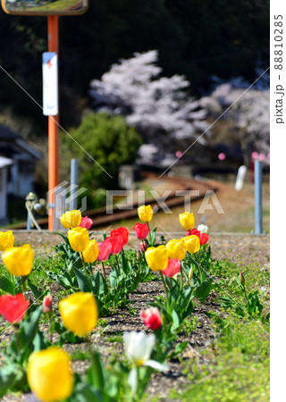 旧三江線尾関山駅2 88810285