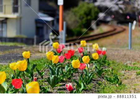 旧三江線尾関山駅4 旧三江線尾関山駅4 88811351