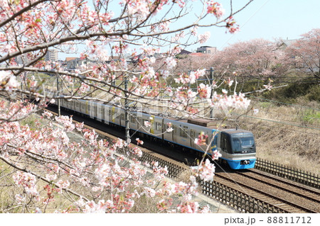 千葉県白井市付近北総線を通る住宅都市整備公団9100形電車C-Flyerシーフライヤーと満開のさくら 千葉県白井市付近北総線を通る住宅都市整備公団9100形電車C-Flyerシーフライヤーと満開のさくら 88811712