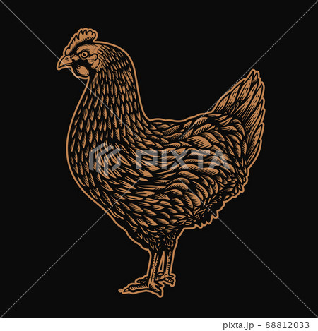 Illustration of chicken in engraving style. Design element for logo, label, sign, emblem, poster. Vector illustration Illustration of chicken in engraving style. Design element for logo, label, sign, emblem, poster. Vector illustration 88812033