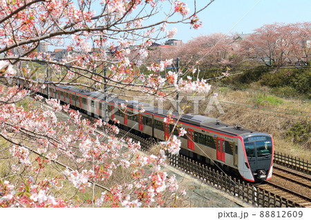 千葉県白井市付近北総線を通る都営地下鉄浅草線の新型車両5500形電車と満開のさくら 千葉県白井市付近北総線を通る都営地下鉄浅草線の新型車両5500形電車と満開のさくら 88812609