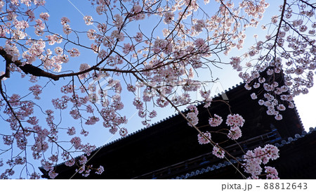 京都　南禅寺の美しい桜 88812643