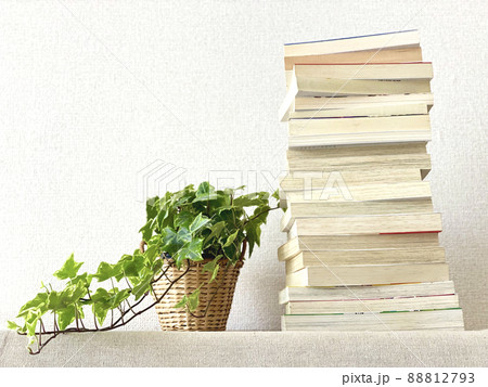 積み上げたたくさんの本と観葉植物_白壁背景 88812793