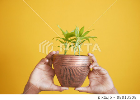 men holding a growing green plant , 88813508