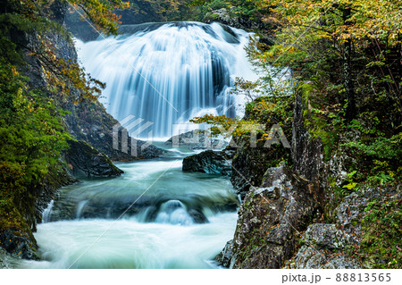 【山形県・関山大滝】野趣あふれる雰囲気の関山大滝 【山形県・関山大滝】野趣あふれる雰囲気の関山大滝 88813565