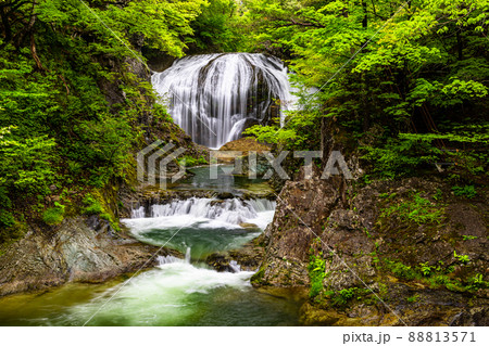 【山形県・関山大滝】野趣あふれる雰囲気の関山大滝 【山形県・関山大滝】野趣あふれる雰囲気の関山大滝 88813571