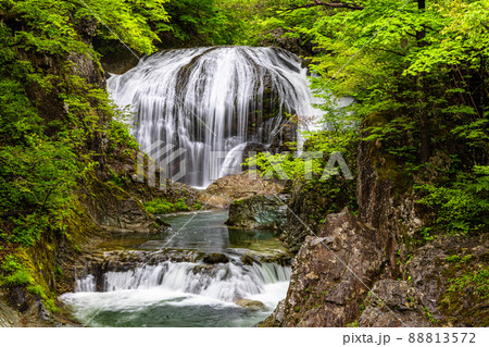 【山形県・関山大滝】野趣あふれる雰囲気の関山大滝 88813572