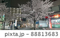 桜　さくら　サクラ　夜桜 88813683