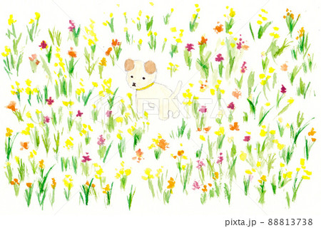 花畑の中にいる子犬 88813738