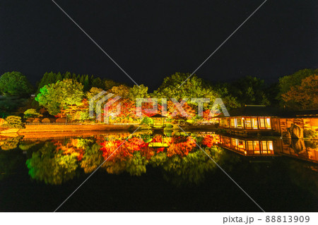 三景園　もみじライトアップ(広島県三原市本郷町) 88813909