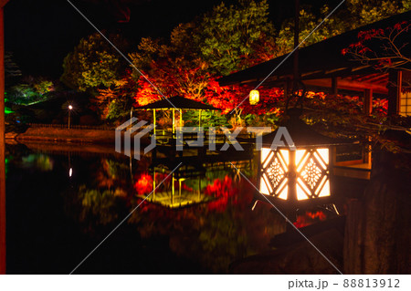 三景園　もみじライトアップ(広島県三原市本郷町) 88813912
