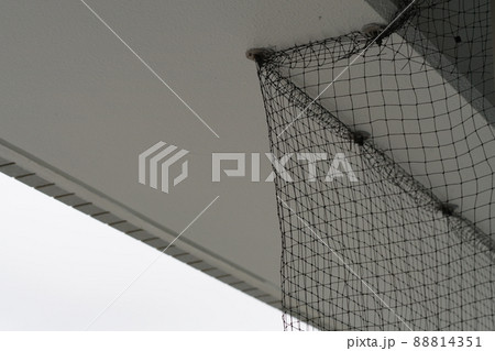 防鳥ネット4の写真素材 [88814351] - PIXTA