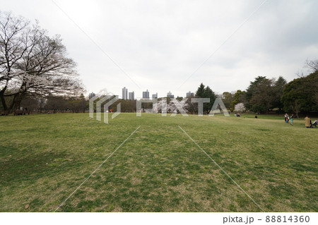 公園2 公園2 88814360