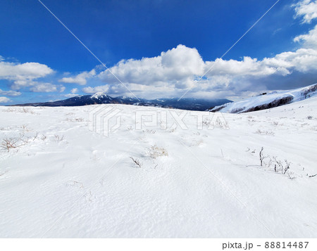 雪に覆われた草原と山岳風景(長野県・霧ヶ峰) 雪に覆われた草原と山岳風景(長野県・霧ヶ峰) 88814487