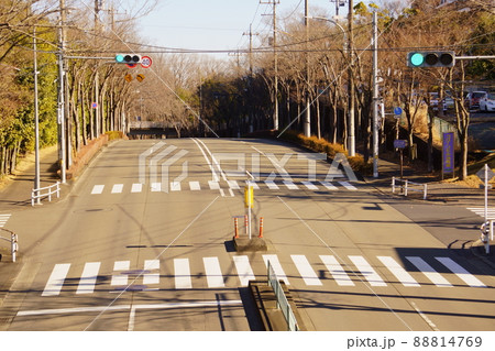 歩道橋から見た青信号と横断歩道 88814769