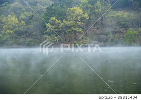 和順郡 湖 霧 88815404