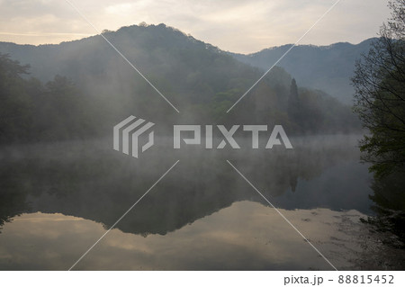 風景 湖 森 88815452
